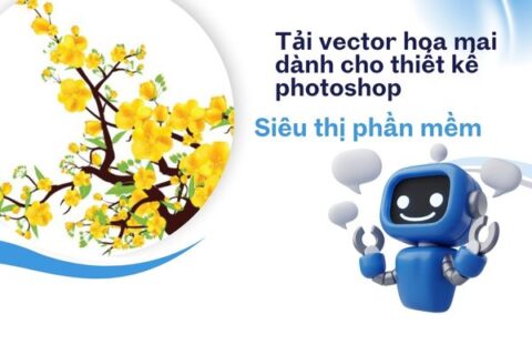 download vector hoa mai