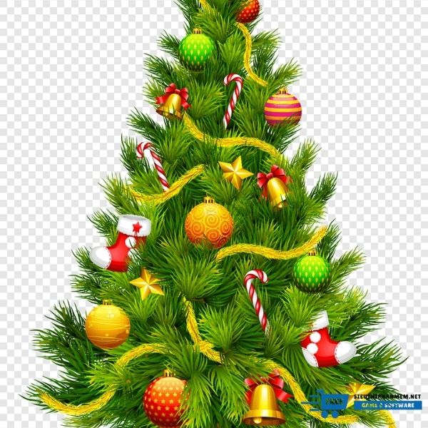 hinh anh cay thong giang sinh