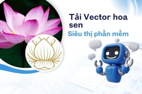 vector hoa sen