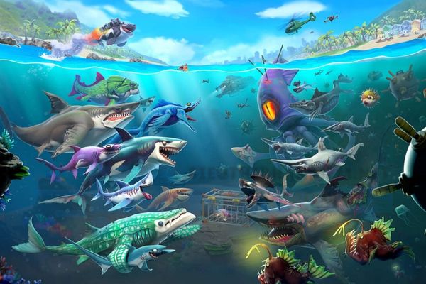 hệ thống chơi game hungry shark