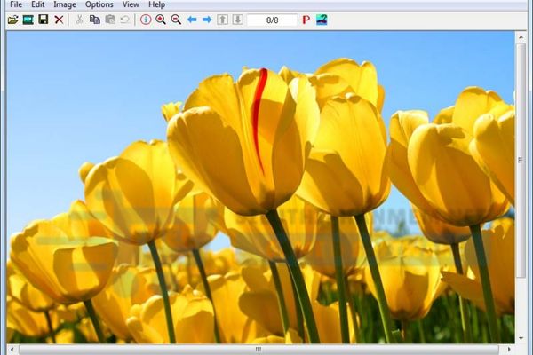 lợi ích khi sử dụng phần mềm đọc file jpg