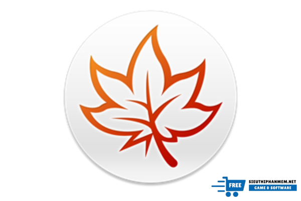 Phần mềm mindmaple