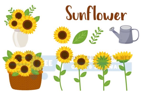 download vector hoa hướng dương