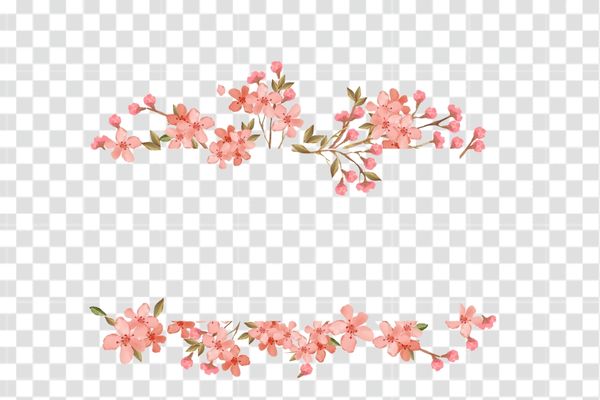 ảnh vector hoa anh đào