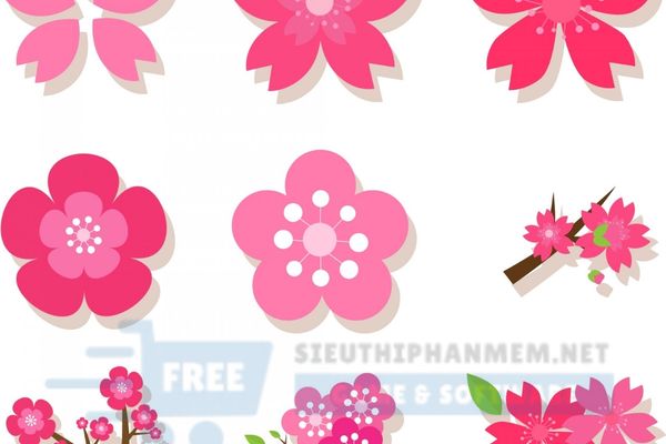chia sẻ vector hoa anh đào