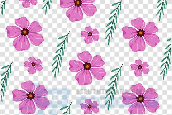 download vector hoa 5 cánh