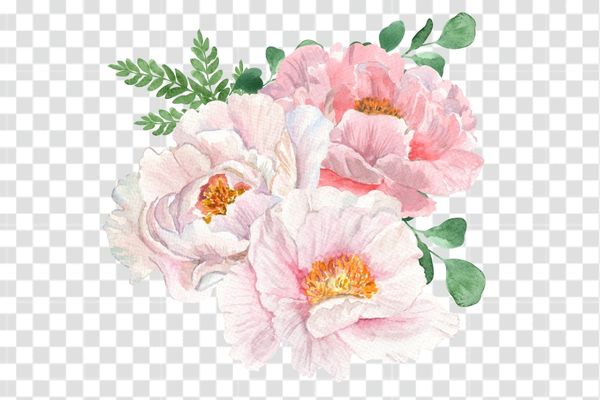 download vector hoa mẫu đơn