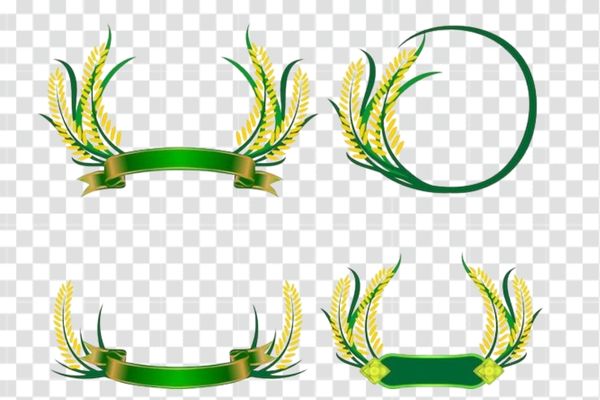 hình ảnh bông lúa vector