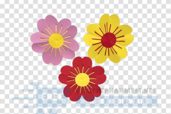 hình ảnh hoa 5 cánh vector