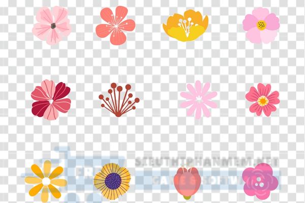 hình ảnh vector hoa 5 cánh