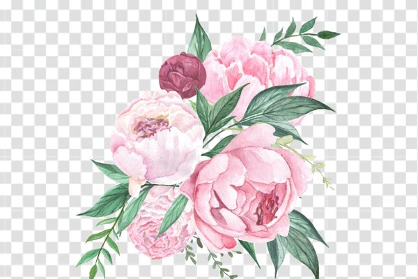 hình hoa mẫu đơn