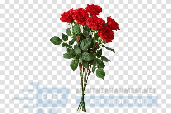 hoa hồng vector đẹp