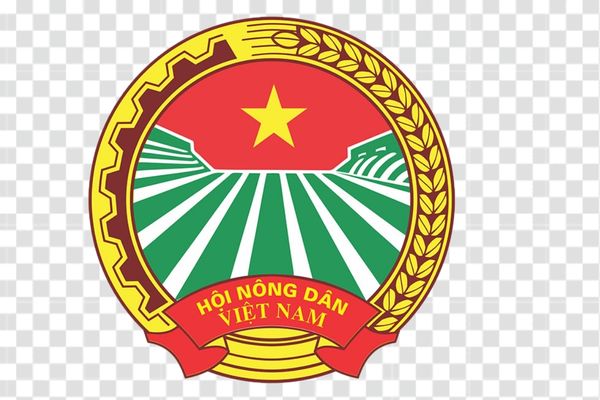 logo hội cựu chiến binh