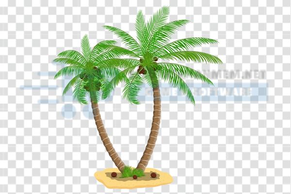 mẫu vector cây dừa