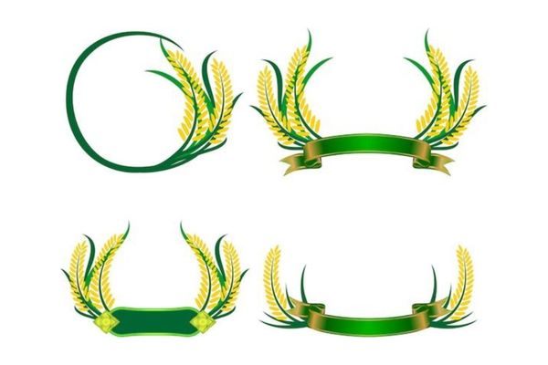 tải bông lúa vector