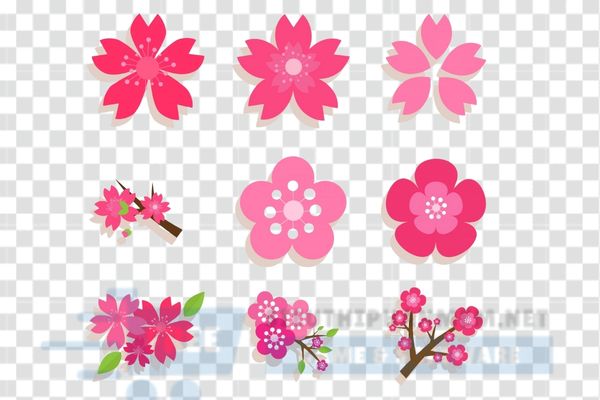 tải mẫu hoa vector 5 cánh