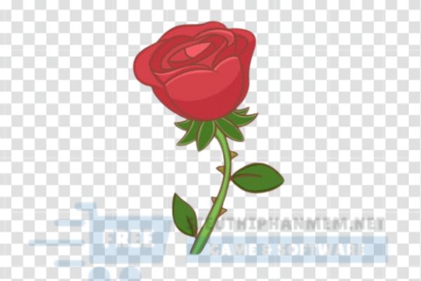 tải vector hoa hồng đỏ miễn phí