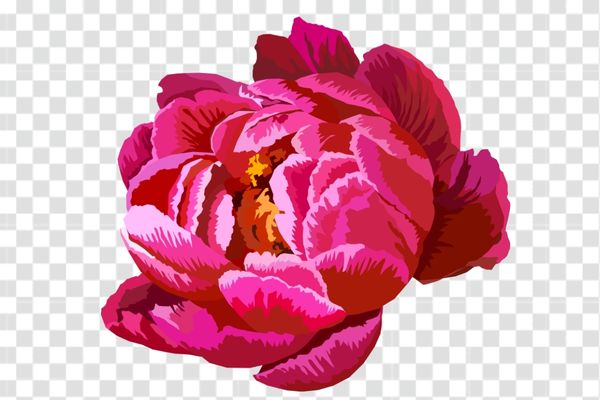 tải vector hoa mẫu đơn