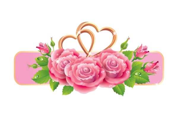 ứng dụng thiết kế vector hoa hồng