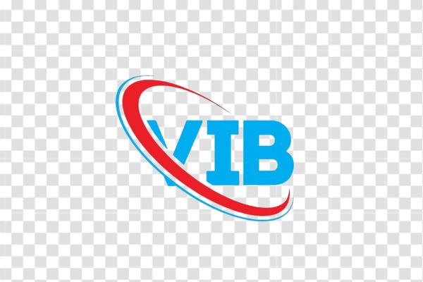 biểu tượng vib