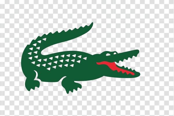 hình ảnh logo lacoste