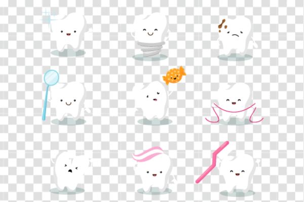 hình ảnh vector răng