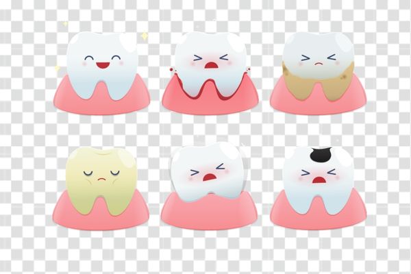 mẫu vector răng tách nền