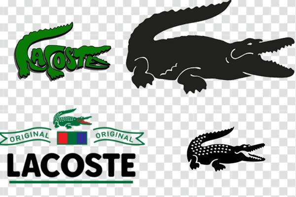 tổng hợp mẫu logo lacoste